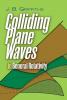 COLLIDING PLANE WAVES IN GENERAL RELATIVITY