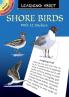 LEARNING ABOUT SHORE BIRDS