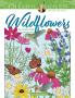 CREATIVE HAVEN WILDFLOWERS COLORING BOOK