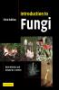 Introduction to Fungi