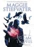 The Raven Cycle #02: The Dream Thieves: Book 2 of the Raven Boys (The Raven Cycle 2)