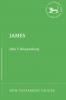 James (New Testament Guides)