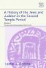 History of the Jews and Judaism in the Second Temple Period Volume 4