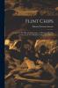 Flint Chips: A Guide to Pre-Historic Archaeology as Illustrated by the Collection in the Blackmore Museum Salisbury (Classic Reprint)