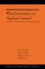 What Determines an Algebraic Variety?