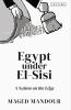 Egypt Under El-Sisi