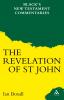 Commentary on the Revelation of St John