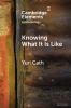 Knowing What It Is Like