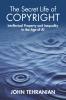 Secret Life of Copyright