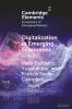 Digitalization in Emerging Economies
