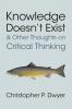 Knowledge Doesn't Exist and Other Thoughts on Critical Thinking