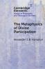 The Metaphysics of Divine Participation