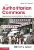 The Authoritarian Commons