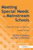 Meeting Special Needs in Mainstream Schools