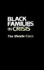 Black Families In Crisis