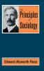Principles of Sociology (Classic Reprint)