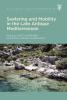 Seafaring and Mobility in the Late Antique Mediterranean