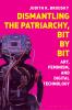 Dismantling the Patriarchy Bit by Bit