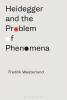 Heidegger and the Problem of Phenomena