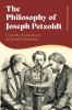 Philosophy of Joseph Petzoldt