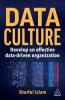 Data Culture