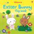 EASTER BUNNY FLAP BOOK