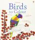 BIRDS TO COLOUR