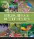 NATIONAL GEOGRAPHIC BIRDS BEES AND BUTTERFLIES
