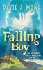 THE FALLING BOY