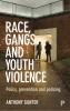 Race_Gangs and Youth Violence