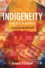 Indigeneity_A Politics of Potential