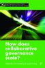 How Does Collaborative Governance Scale