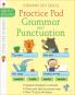 Key Skills Practice Pad: Grammar And Punctuation 6-7