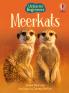 BEG MEERKATS