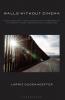 Walls Without Cinema
