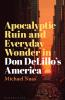 Apocalyptic Ruin and Everyday Wonder in Don DeLillo's America
