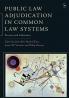 Public Law Adjudication in Common Law Systems