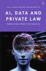 Ai Data and Private Law