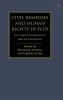 Civil Remedies and Human Rights in Flux