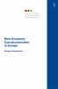 New Economic Constitutionalism in Europe