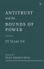 Antitrust and the Bounds of Power - 25 Years On