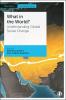 What in the World? Understanding Global Social Change