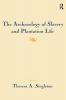 Archaeology of Slavery and Plantation Life
