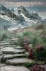 Long walk to nature till date-3