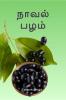 Naaval Pazham / ????? ????