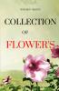 COLLECTION  OF  FLOWER'S