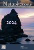 Metaphorosis 2024