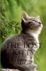 The Lost Kitty