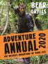 BEAR GRYLLS ADVENTURE ANNUAL 2020
