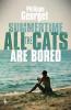 Summertime All the Cats Are Bored